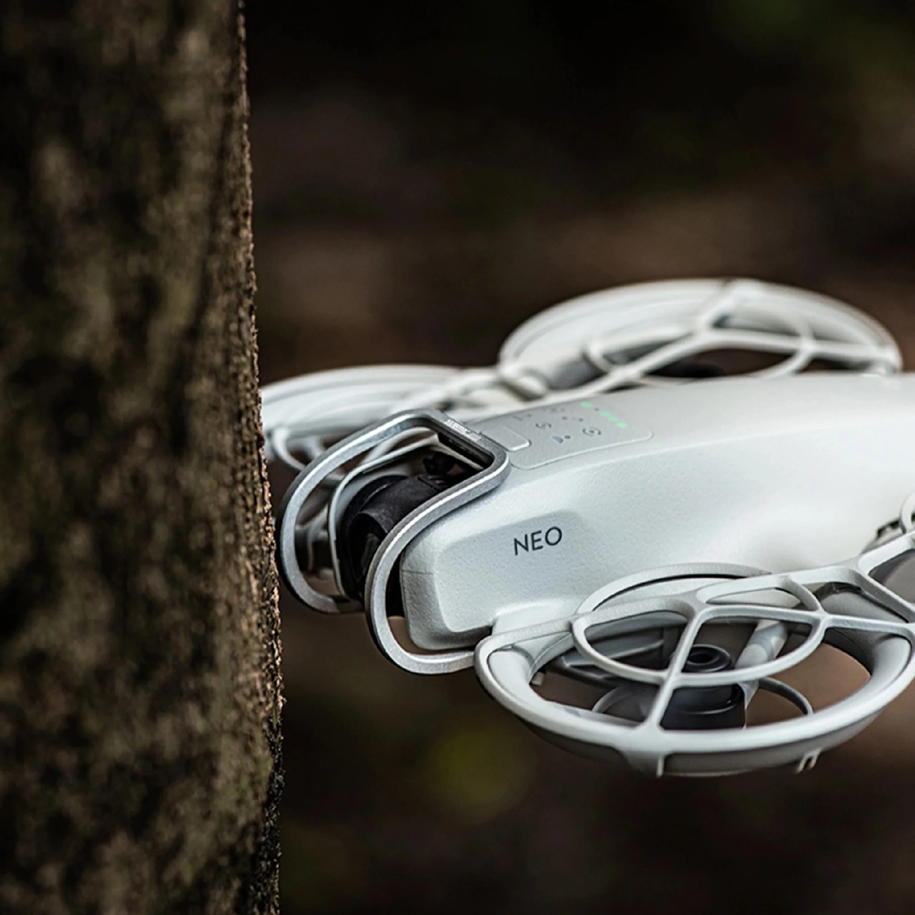 3 91d97adc 67b2 4bf7 8853 e5044233af52