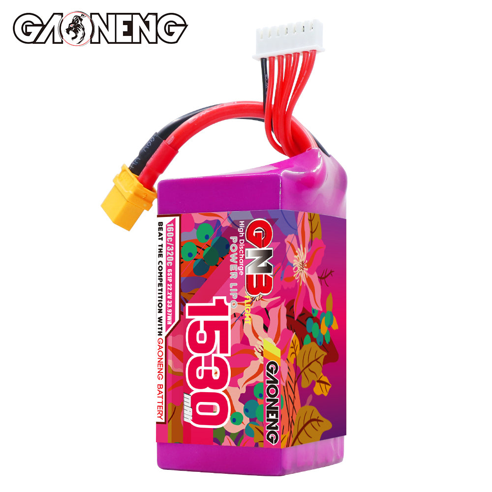 Akumuliatorius GNB GAONENG 1530mah 6S1P 22.2V 160C XH-JST 7P XT60 