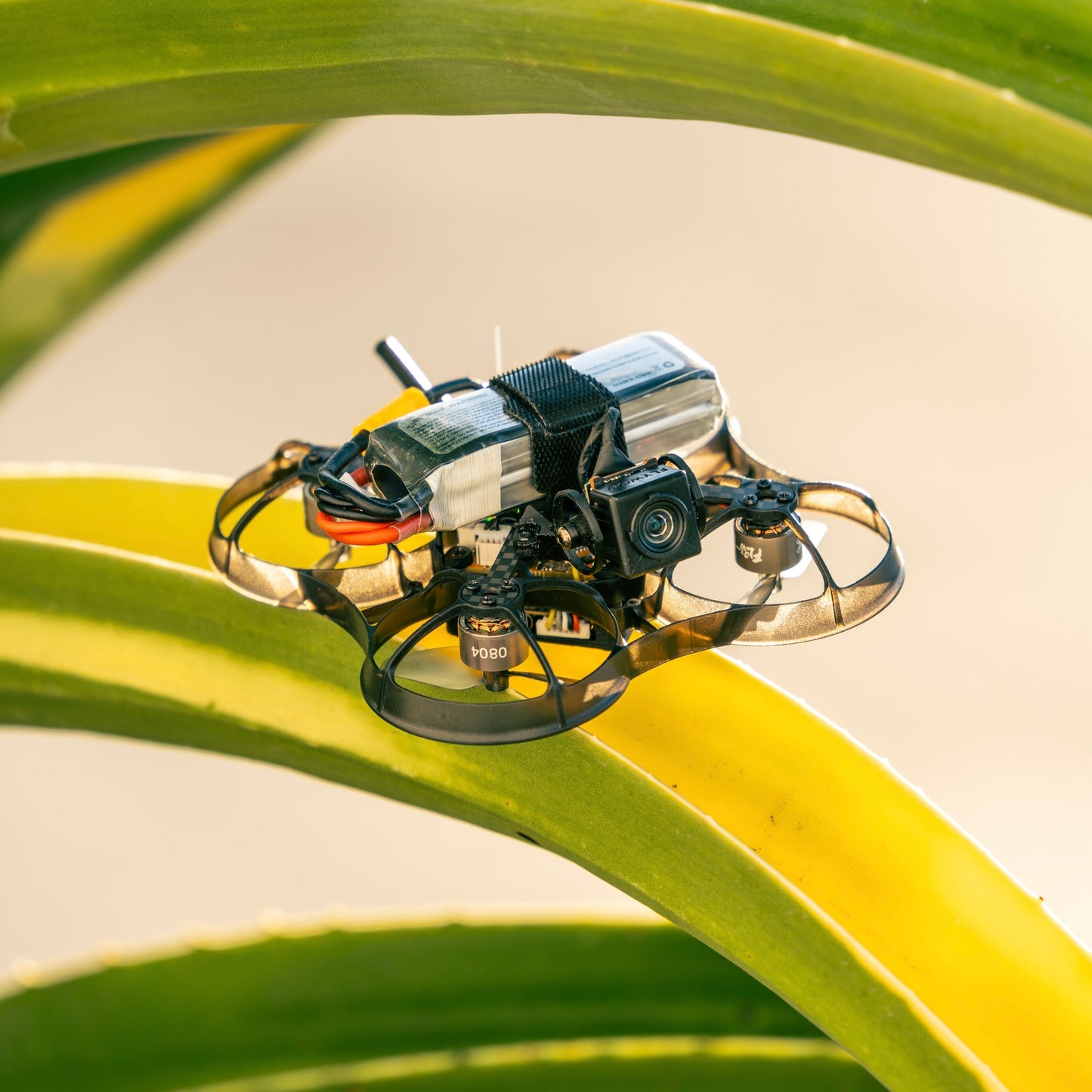 FPV dronas „NewBeeDrone AcroBee75 HD O4 Pusher BNF ELRS 2.4G“ 