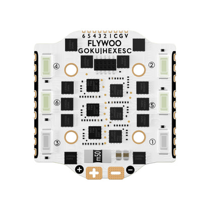 ESC 6-in-1 FLYWOO GOKU HEX BS 20A LED 16x16 