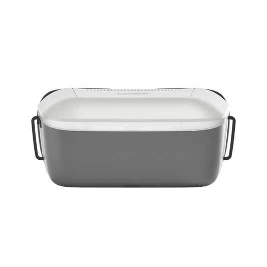 Walksnail Ascent Goggle